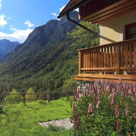 Zadnjica Holiday House Soča Buitenkant foto
