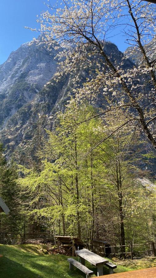 Zadnjica Holiday House Soča Buitenkant foto