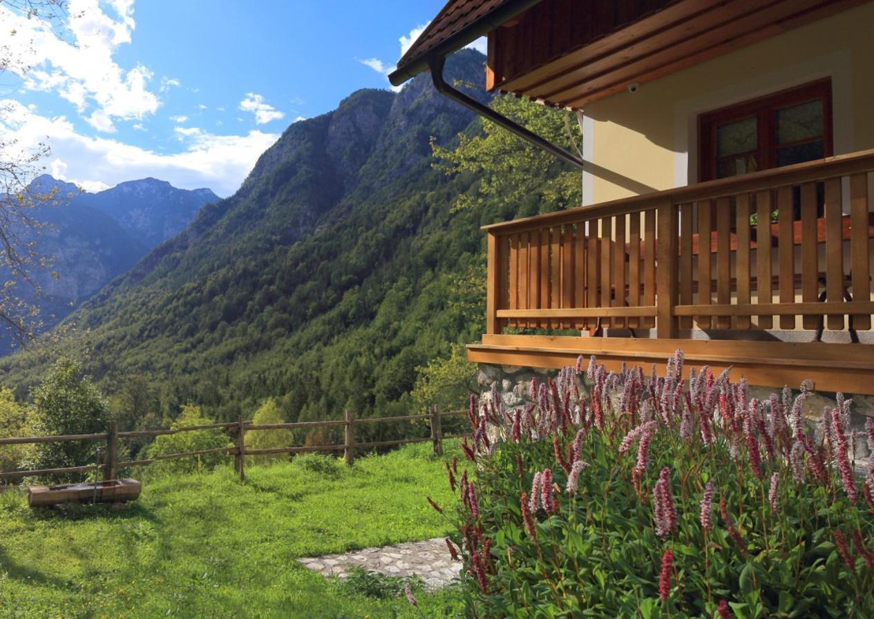 Zadnjica Holiday House Soča Buitenkant foto